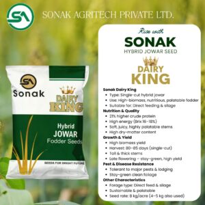 Dairy King Hybrid Fodder Seed | Superior Nutrition for Dairy Farms